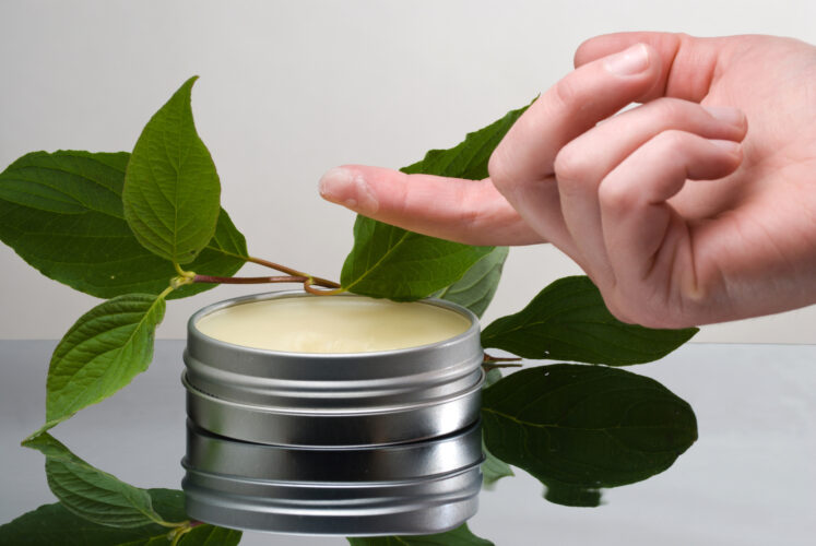 Soothing Chickweed Salve Recipe